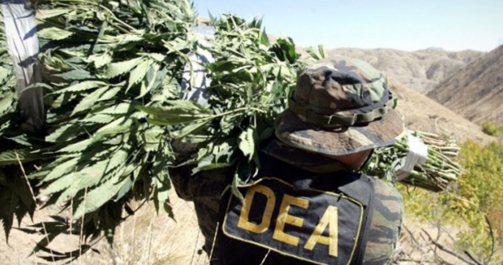 DEA